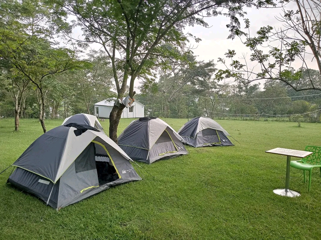 Travel spotlight on Makwanzi falls farm