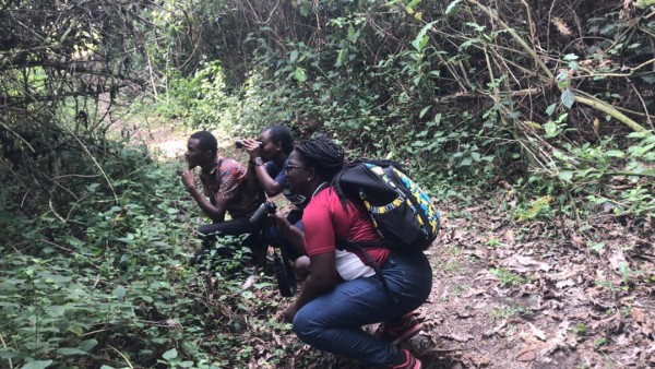 Kibale community and nature walk experience